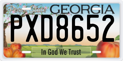 GA license plate PXD8652