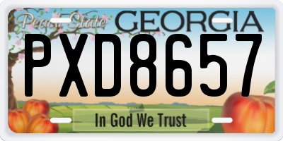 GA license plate PXD8657