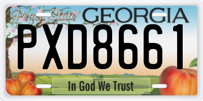 GA license plate PXD8661