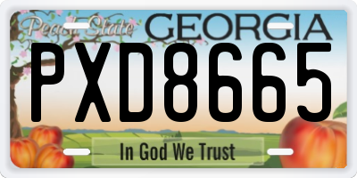 GA license plate PXD8665
