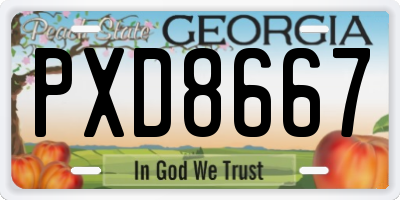 GA license plate PXD8667