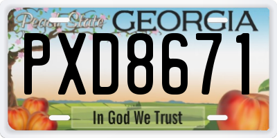 GA license plate PXD8671