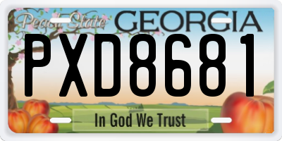 GA license plate PXD8681