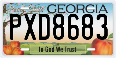 GA license plate PXD8683