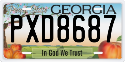 GA license plate PXD8687
