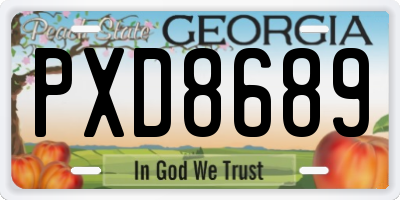 GA license plate PXD8689