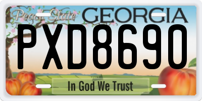 GA license plate PXD8690