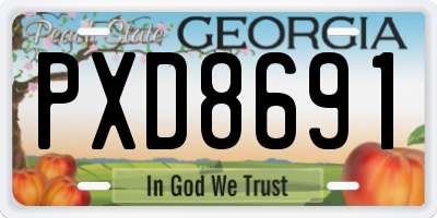 GA license plate PXD8691