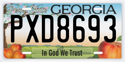 GA license plate PXD8693