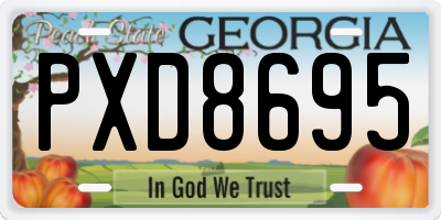 GA license plate PXD8695
