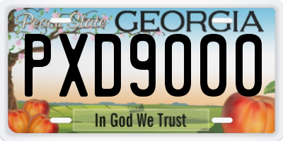 GA license plate PXD9000