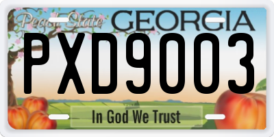 GA license plate PXD9003
