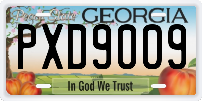 GA license plate PXD9009