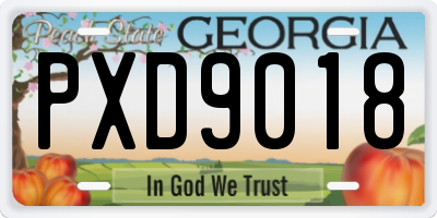 GA license plate PXD9018
