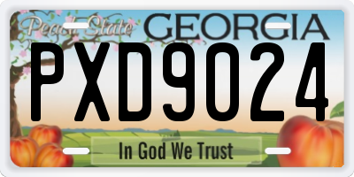 GA license plate PXD9024