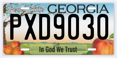 GA license plate PXD9030