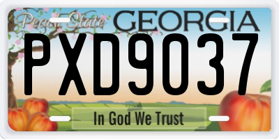 GA license plate PXD9037