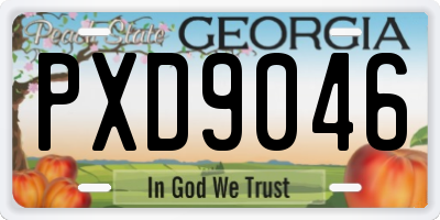 GA license plate PXD9046