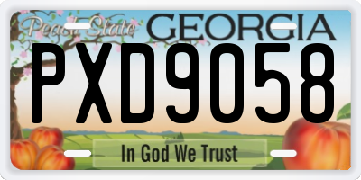 GA license plate PXD9058