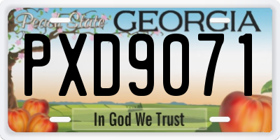 GA license plate PXD9071