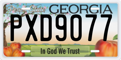 GA license plate PXD9077