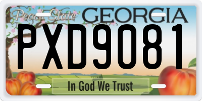 GA license plate PXD9081