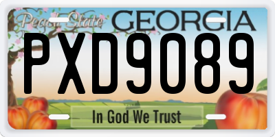GA license plate PXD9089