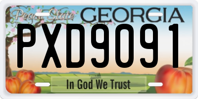 GA license plate PXD9091