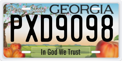GA license plate PXD9098