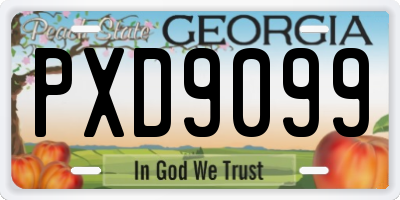 GA license plate PXD9099