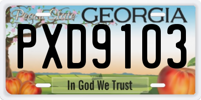 GA license plate PXD9103