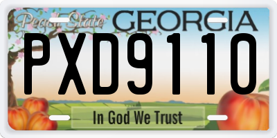 GA license plate PXD9110