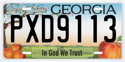 GA license plate PXD9113