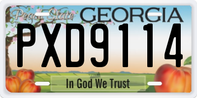 GA license plate PXD9114