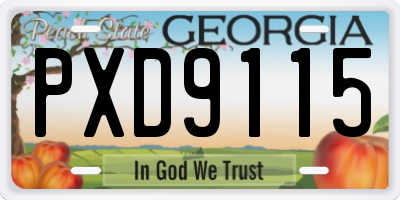 GA license plate PXD9115