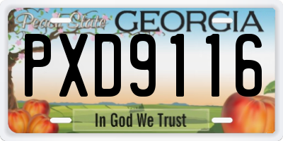 GA license plate PXD9116