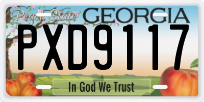 GA license plate PXD9117