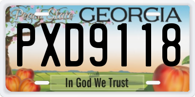 GA license plate PXD9118