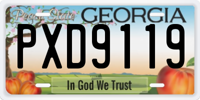 GA license plate PXD9119