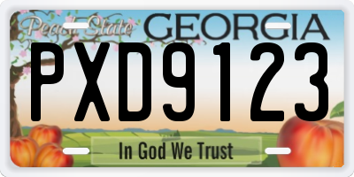 GA license plate PXD9123