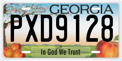 GA license plate PXD9128