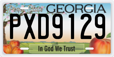 GA license plate PXD9129