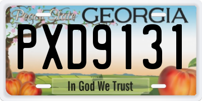 GA license plate PXD9131