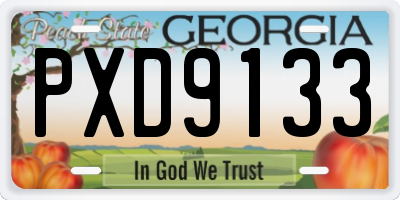 GA license plate PXD9133