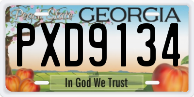 GA license plate PXD9134