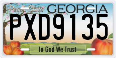 GA license plate PXD9135