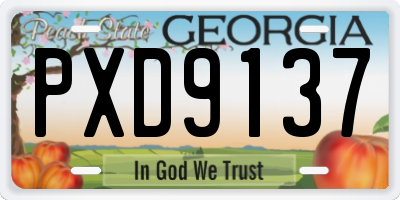 GA license plate PXD9137