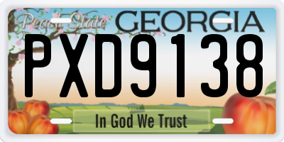 GA license plate PXD9138