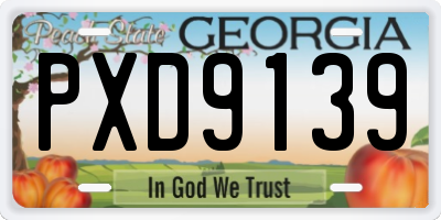 GA license plate PXD9139