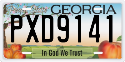 GA license plate PXD9141